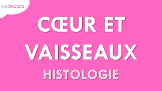 Le système cardiovasculaire  Histologie [upl. by Hazeefah]