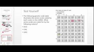 Transfer RNA tRNA Codons and Anticodons [upl. by Ativel]