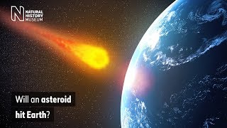 Will an asteroid hit Earth  Natural History Museum [upl. by Aronael]