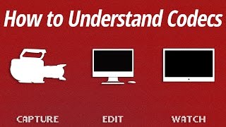 How to Understand Codecs [upl. by Mercorr964]