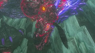 Zelda Breath of the Wild Naydra Secret Boss Fight [upl. by Arocahs]