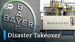 Bayers acquisition of Monsanto is becoming a disaster  DW News [upl. by Fadil]