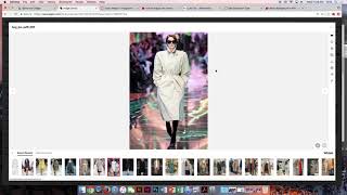 wgsn Image Search tutorial [upl. by Aleyam864]