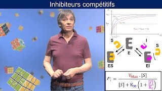 Enzymologie  Inhibiteurs compétitifs [upl. by Burget]