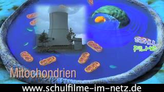 Die Zelle  Schulfilm Biologie [upl. by Araes]