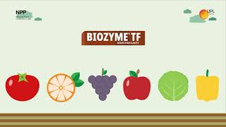 Biozyme TF  Bioestimulante natural [upl. by Namaan962]