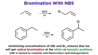 AllylicBenzylic Bromination With NBromo Succinimide NBS [upl. by Kent]