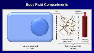 IV Fluids Lesson 1  Basic Principles [upl. by Bail]