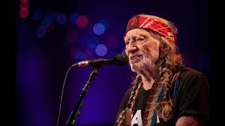 Willie Nelson  The Scientist [upl. by Helmut]