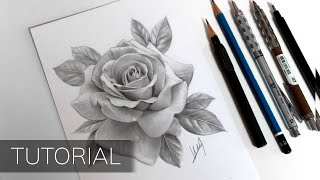 Tutorial  How to Draw a Realistic Rose [upl. by Lucilia]