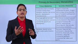 Class10th – Primary and Secondary Metabolites  Enzymes  Tutorials Point [upl. by Gwendolin586]