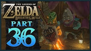 The Legend of Zelda Breath of the Wild  Akkala Maze Shrine  Part 36 [upl. by Ojillib50]