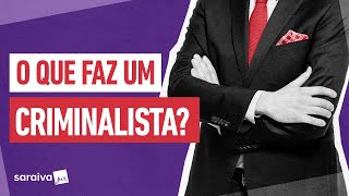 O que faz um ADVOGADO CRIMINALISTA [upl. by Adhamh144]