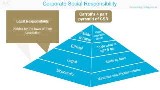 Corporate Social Responsibility  ACCA P1 Revision Theory [upl. by Toft]