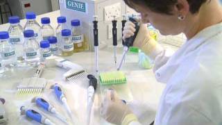 Using a Micropipette  University of Leicester [upl. by Kcam]