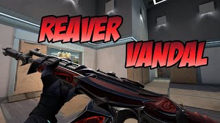 REAVER VANDAL SKIN GAMEPLAY RED  VALORANT REAVER SKINS [upl. by Brownson]