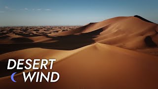 Desert Wind Sound  10 Hours  Stress Relief  Meditate  Sleep  Study  Desert Winds [upl. by Jallier]