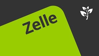 Zellen und Zellformen  Biologie  Cytologie [upl. by Arraek]