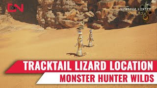 MH Wilds Tracktail Lizard Location [upl. by Elfie179]