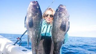 Nonstop Sea Bass Fishing Action  HOW TO  Catch and Cook [upl. by Brianne840]