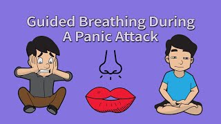 Guided Breathing Exercise Meditation Panic Attacks amp Anxiety [upl. by Aleacim162]