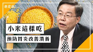 小米加2食材一起吃，預防胃炎、改善潰瘍！｜胃潰瘍｜十二指腸潰瘍｜小米粥｜養胃｜何永成 醫師｜336｜談古論今話中醫 [upl. by Geller]