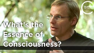 Giulio Tononi  Whats the Essence of Consciousness [upl. by Onitnerolf641]