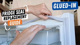 How to Replace a Glued in Refrigerator Door Gasket Seal [upl. by Johst878]