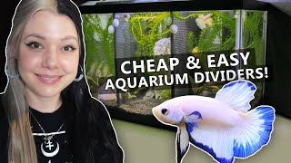 DIY Aquarium Divider [upl. by Otrebmal738]