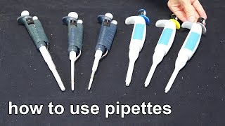 How to Use Micropipettes  Techniques Demonstration [upl. by Ahseet896]