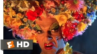 The Adventures of Priscilla Queen of the Desert 1994  I Will Survive Scene 48  Movieclips [upl. by Lomaj392]