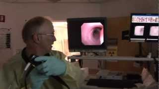 Bronchoscopy  examination of your airways English version [upl. by Viridi]