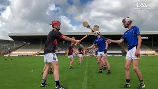 Sample hurling coaching session with GAA National Hurling Development Manager Martin Fogarty [upl. by Adnuahsal549]