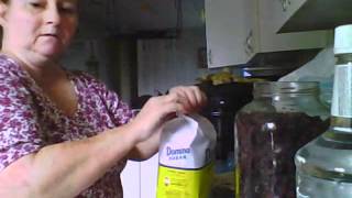 Making Blackberry Brandy [upl. by Anderegg]