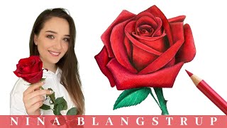 How to Draw a Realistic Rose  Step by Step Tutorial for Beginners [upl. by Ajin]