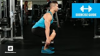 How to Dumbbell Squat  Mike Hildebrandt [upl. by Womack]