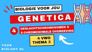 4 vwo  Genetica  4  Geslachtschromosomen amp Xchromosomale overerving [upl. by Henry]