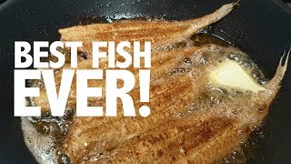 How to cook and prepare the perfect Dover sole  Classic a la meunière recipe [upl. by Almita]