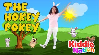 The Hokey Pokey action song with lyrics [upl. by Yug]