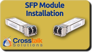 SFP Module Installation [upl. by Eannyl]