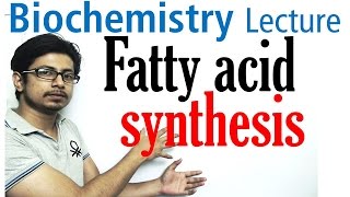 Fatty acid synthesis [upl. by Lem]