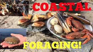 Coastal Foraging  Cook Up On The Beach  Ormers  Abalone  Lobster  Clams and More [upl. by Bathulda919]