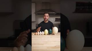 I Cooked the World’s CRAZIEST Eggs [upl. by Aeret]