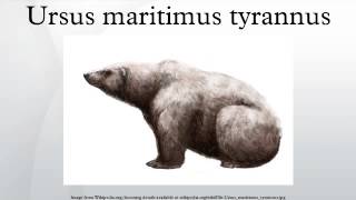 Ursus maritimus tyrannus [upl. by Platas836]