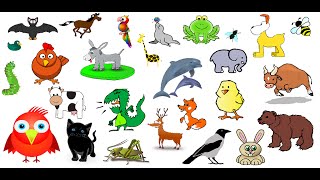 Animal Sounds  over 50 animals noises [upl. by Anastatius]