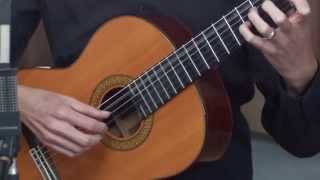 Classical Guitar Lesson 1 [upl. by Ssitnerp]