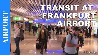 TRANSIT WALK AT FRANKFURT Airport FRA Terminal 1  Connection Flight Transfer Arriving amp Departing [upl. by Cleave207]