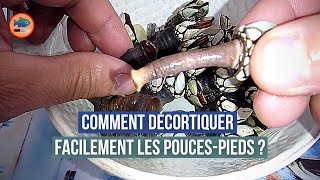 Comment décortiquer les poucespieds facilement [upl. by Leamhsi]