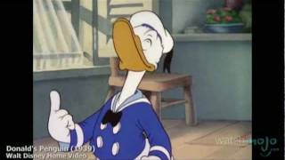 The History of Donald Duck [upl. by Mona]