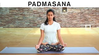 How to do Padmasana  Lotus Pose [upl. by Eniala304]